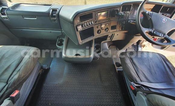 Acheter Occasion Utilitaire Scania R420 Blanc à Beitbridge, Matabeleland South Acheter Occasion Utilitaire Scania R420 Blanc à Beitbridge, Matabeleland South