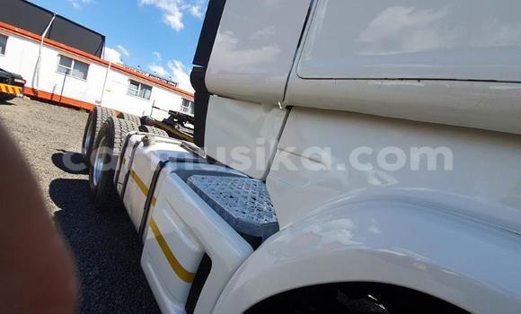 Acheter Occasion Utilitaire Scania R420 Blanc à Beitbridge, Matabeleland South Acheter Occasion Utilitaire Scania R420 Blanc à Beitbridge, Matabeleland South