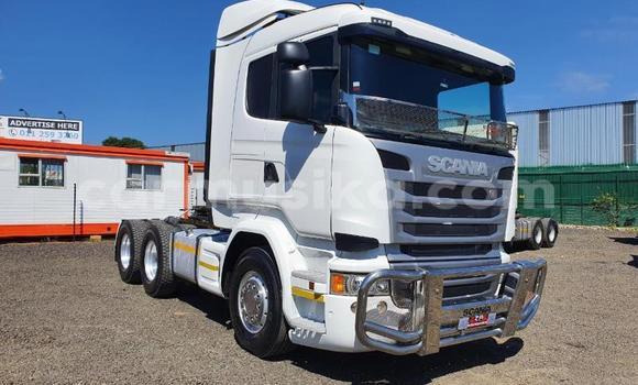Buy Used Scania Irizar White Truck in Beitbridge in Matabeleland South