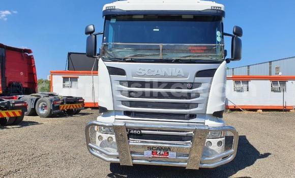 Tenga Tsaru Scania Irizar Chena Rori in Beitbridge in Matabeleland South Tenga Tsaru Scania Irizar Chena Rori in Beitbridge in Matabeleland South