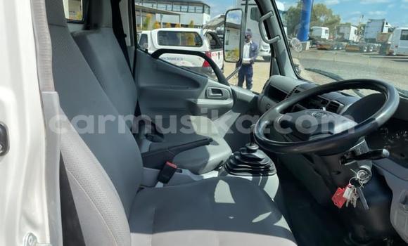 Tenga Tsaru Toyota Dyna Chena Rori in Beitbridge in Matabeleland South Tenga Tsaru Toyota Dyna Chena Rori in Beitbridge in Matabeleland South