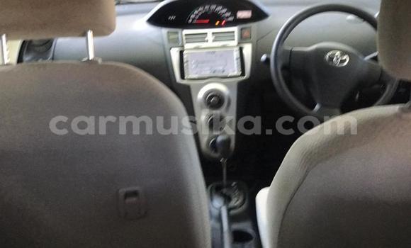 Buy Import Toyota Vitz Other Car in Harare in Harare Buy Import Toyota Vitz Other Car in Harare in Harare