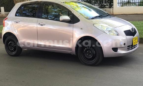 Buy Import Toyota Vitz Other Car in Harare in Harare Buy Import Toyota Vitz Other Car in Harare in Harare