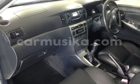 Buy Used Toyota Runx Silver Car in Bulawayo in Bulawayo Buy Used Toyota Runx Silver Car in Bulawayo in Bulawayo