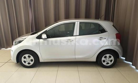 Nunua Ilio tumika Kia Picanto Fedha Gari ndani ya Harare nchini Harare Nunua Ilio tumika Kia Picanto Fedha Gari ndani ya Harare nchini Harare