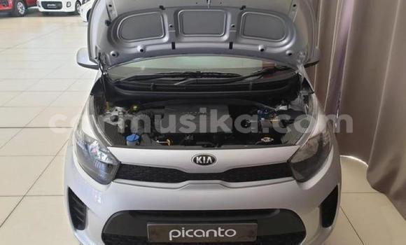 Nunua Ilio tumika Kia Picanto Fedha Gari ndani ya Harare nchini Harare Nunua Ilio tumika Kia Picanto Fedha Gari ndani ya Harare nchini Harare