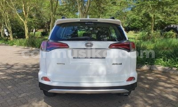Acheter Occasion Voiture Toyota RAV4 Blanc à Beitbridge, Matabeleland South Acheter Occasion Voiture Toyota RAV4 Blanc à Beitbridge, Matabeleland South