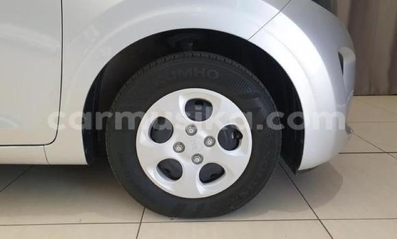 Nunua Ilio tumika Kia Picanto Fedha Gari ndani ya Harare nchini Harare Nunua Ilio tumika Kia Picanto Fedha Gari ndani ya Harare nchini Harare