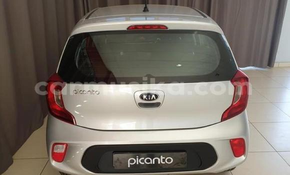 Nunua Ilio tumika Kia Picanto Fedha Gari ndani ya Harare nchini Harare Nunua Ilio tumika Kia Picanto Fedha Gari ndani ya Harare nchini Harare