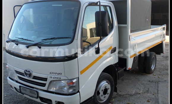 Buy Used Toyota Dyna White Truck in Beitbridge in Matabeleland South