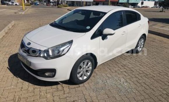 Buy Used Kia Rio White Car in Beitbridge in Matabeleland South