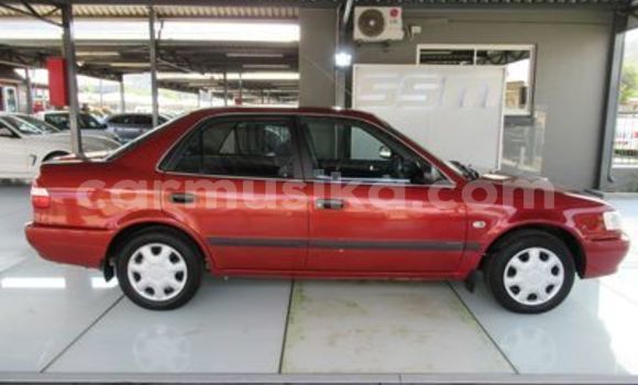 Buy Used Toyota Corolla Other Car in Beitbridge in Matabeleland South
