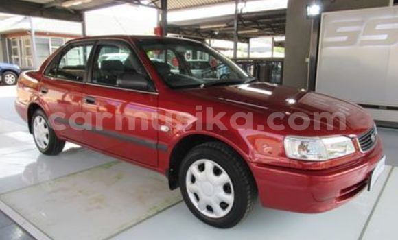 Tenga Tsaru Toyota Corolla Zvimwe Mota in Beitbridge in Matabeleland South Tenga Tsaru Toyota Corolla Zvimwe Mota in Beitbridge in Matabeleland South