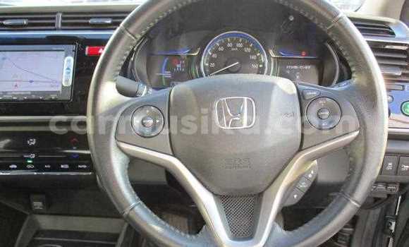 Tenga Tsaru Honda Grace Sirivha Mota in Beitbridge in Matabeleland South Tenga Tsaru Honda Grace Sirivha Mota in Beitbridge in Matabeleland South