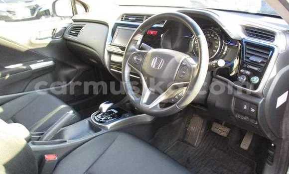 Tenga Tsaru Honda Grace Sirivha Mota in Beitbridge in Matabeleland South Tenga Tsaru Honda Grace Sirivha Mota in Beitbridge in Matabeleland South