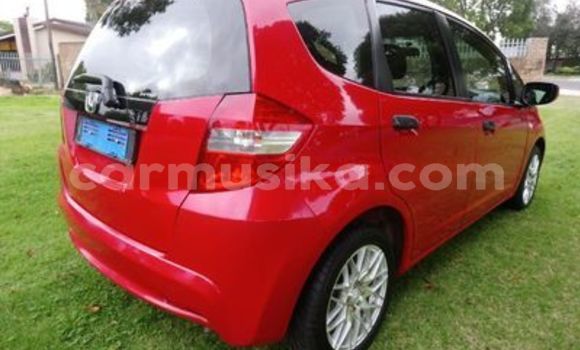 Buy Used Honda Fit Red Car in Beitbridge in Matabeleland South Buy Used Honda Fit Red Car in Beitbridge in Matabeleland South