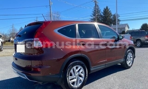 Tenga Tsaru Honda CR–V Tsvuku Mota in Beitbridge in Matabeleland South Tenga Tsaru Honda CR–V Tsvuku Mota in Beitbridge in Matabeleland South