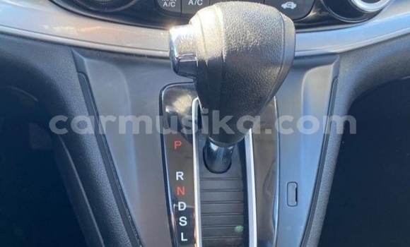 Tenga Tsaru Honda CR–V Tsvuku Mota in Beitbridge in Matabeleland South Tenga Tsaru Honda CR–V Tsvuku Mota in Beitbridge in Matabeleland South