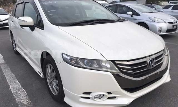 Tenga Tsaru Honda Odyssey Chena Mota in Beitbridge in Matabeleland South