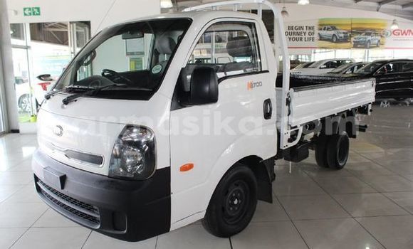 Tenga Tsaru Kia K3 Chena Mota in Beitbridge in Matabeleland South