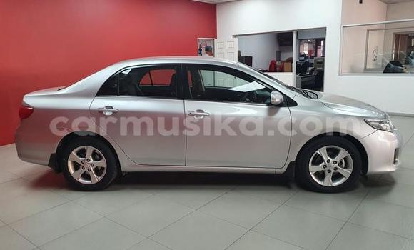 Acheter Occasion Voiture Toyota Corolla Gris à Beitbridge, Matabeleland South Acheter Occasion Voiture Toyota Corolla Gris à Beitbridge, Matabeleland South