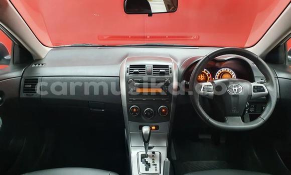 Acheter Occasion Voiture Toyota Corolla Gris à Beitbridge, Matabeleland South Acheter Occasion Voiture Toyota Corolla Gris à Beitbridge, Matabeleland South