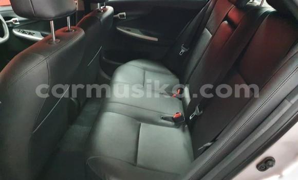 Acheter Occasion Voiture Toyota Corolla Gris à Beitbridge, Matabeleland South Acheter Occasion Voiture Toyota Corolla Gris à Beitbridge, Matabeleland South