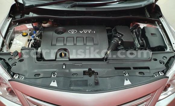 Acheter Occasion Voiture Toyota Corolla Gris à Beitbridge, Matabeleland South Acheter Occasion Voiture Toyota Corolla Gris à Beitbridge, Matabeleland South