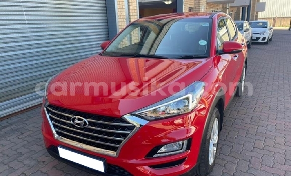 Nunua Ilio tumika Hyundai Tucson Nyekundu Gari ndani ya Beitbridge nchini Matabeleland Kusini