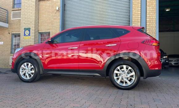 Acheter Occasion Voiture Hyundai Tucson Rouge à Beitbridge, Matabeleland South Acheter Occasion Voiture Hyundai Tucson Rouge à Beitbridge, Matabeleland South