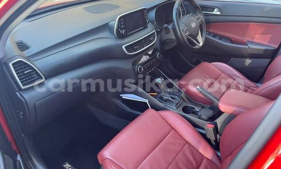 Acheter Occasion Voiture Hyundai Tucson Rouge à Beitbridge, Matabeleland South Acheter Occasion Voiture Hyundai Tucson Rouge à Beitbridge, Matabeleland South