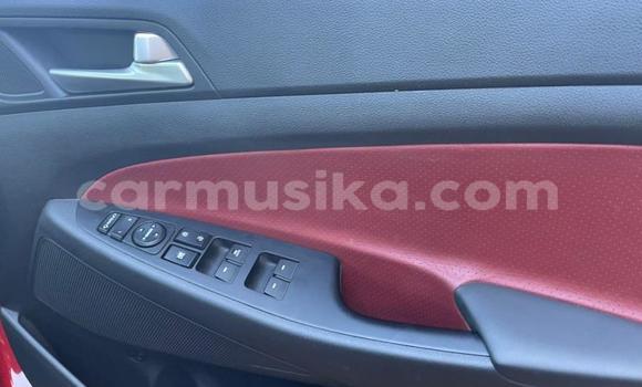 Acheter Occasion Voiture Hyundai Tucson Rouge à Beitbridge, Matabeleland South Acheter Occasion Voiture Hyundai Tucson Rouge à Beitbridge, Matabeleland South