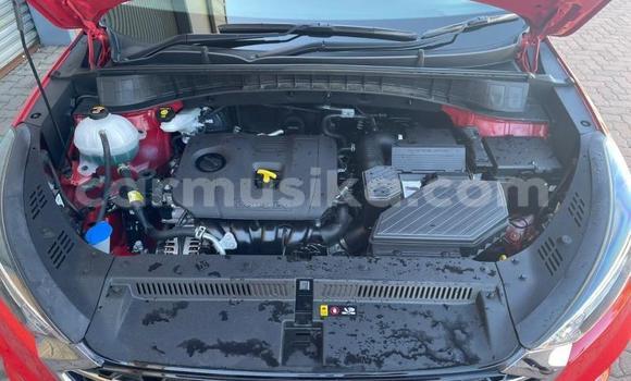 Acheter Occasion Voiture Hyundai Tucson Rouge à Beitbridge, Matabeleland South Acheter Occasion Voiture Hyundai Tucson Rouge à Beitbridge, Matabeleland South