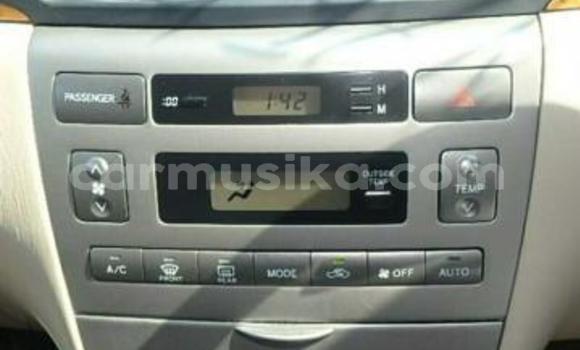 Acheter Occasion Voiture Toyota Runx Rouge à Beitbridge, Matabeleland South Acheter Occasion Voiture Toyota Runx Rouge à Beitbridge, Matabeleland South