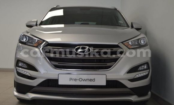 Tenga Tsaru Hyundai Tucson Sirivha Mota in Beitbridge in Matabeleland South Tenga Tsaru Hyundai Tucson Sirivha Mota in Beitbridge in Matabeleland South
