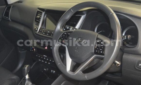 Tenga Tsaru Hyundai Tucson Sirivha Mota in Beitbridge in Matabeleland South Tenga Tsaru Hyundai Tucson Sirivha Mota in Beitbridge in Matabeleland South