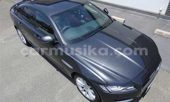 Buy Used Jaguar XF Black Car in Beitbridge in Matabeleland South Buy Used Jaguar XF Black Car in Beitbridge in Matabeleland South