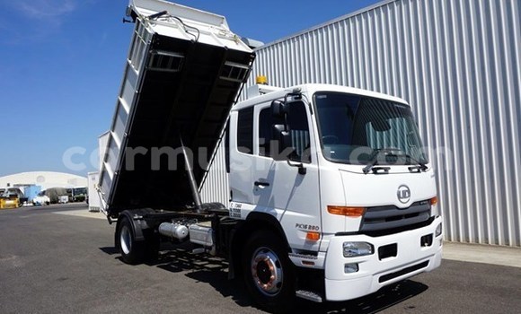 Acheter Occasion Utilitaire Hino 300 Series Blanc à Beitbridge, Matabeleland South