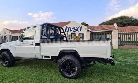 Acheter Occasion Voiture Toyota Land Cruiser Blanc à Beitbridge, Matabeleland South Acheter Occasion Voiture Toyota Land Cruiser Blanc à Beitbridge, Matabeleland South