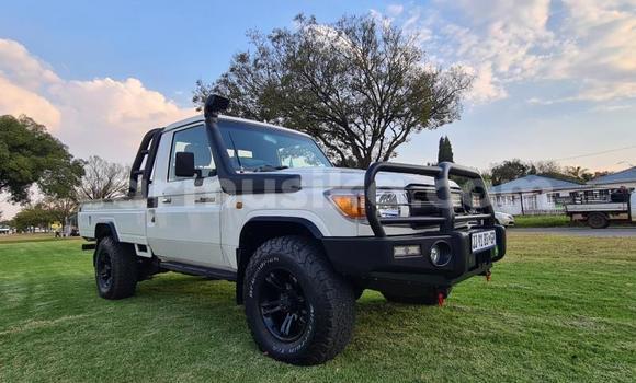 Acheter Occasion Voiture Toyota Land Cruiser Blanc à Beitbridge, Matabeleland South Acheter Occasion Voiture Toyota Land Cruiser Blanc à Beitbridge, Matabeleland South