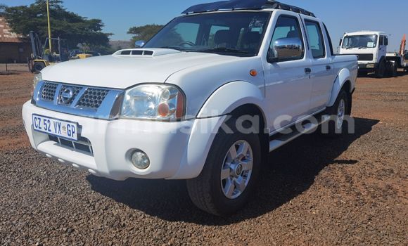 Buy Used Nissan NP 300 White Car in Willowvale in Harare