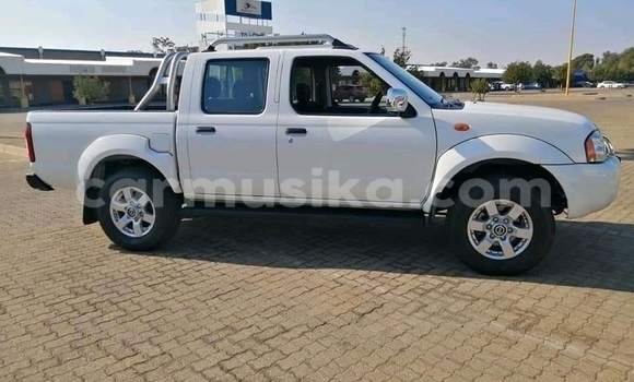 Tenga Tsaru Nissan NP 300 Chena Mota in Beitbridge in Matabeleland South Tenga Tsaru Nissan NP 300 Chena Mota in Beitbridge in Matabeleland South