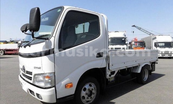 Buy Used Toyota Dyna White Truck in Beitbridge in Matabeleland South