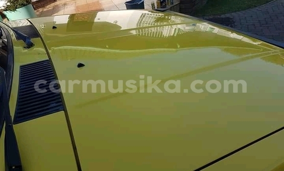 Tenga Tsaru Nissan NP 300 Zvimwe Mota in Emerald Hill in Harare Tenga Tsaru Nissan NP 300 Zvimwe Mota in Emerald Hill in Harare