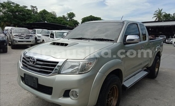 Acheter Occasion Voiture Toyota Hilux Gris à Beitbridge, Matabeleland South Acheter Occasion Voiture Toyota Hilux Gris à Beitbridge, Matabeleland South