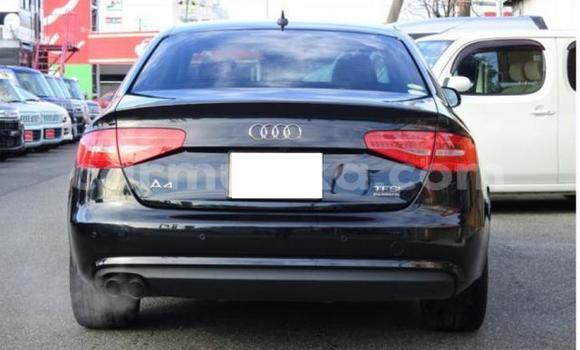 Buy Import Audi A4 Other Car in Beitbridge in Matabeleland South Buy Import Audi A4 Other Car in Beitbridge in Matabeleland South