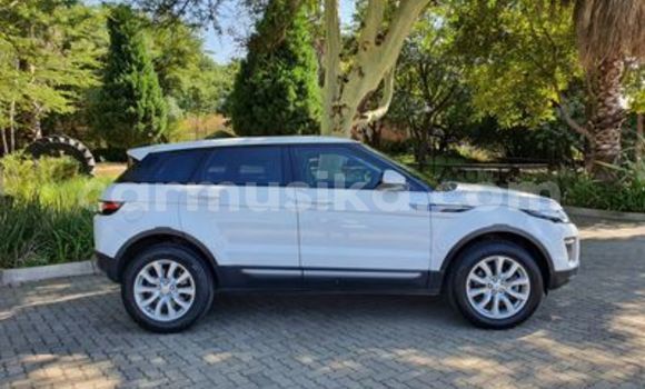 Tenga Tsaru Land Rover Range Rover Evoque Chena Mota in Beitbridge in Matabeleland South