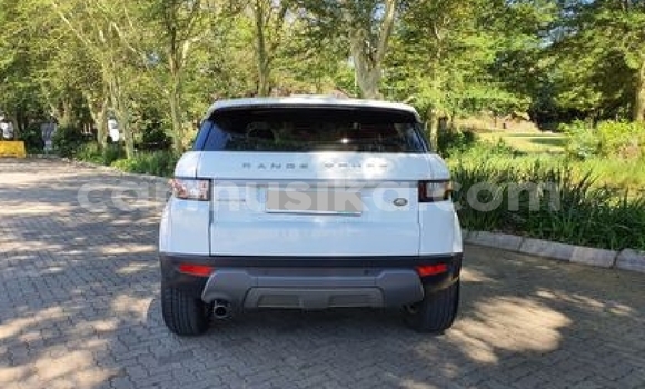 Tenga Tsaru Land Rover Range Rover Evoque Chena Mota in Beitbridge in Matabeleland South Tenga Tsaru Land Rover Range Rover Evoque Chena Mota in Beitbridge in Matabeleland South