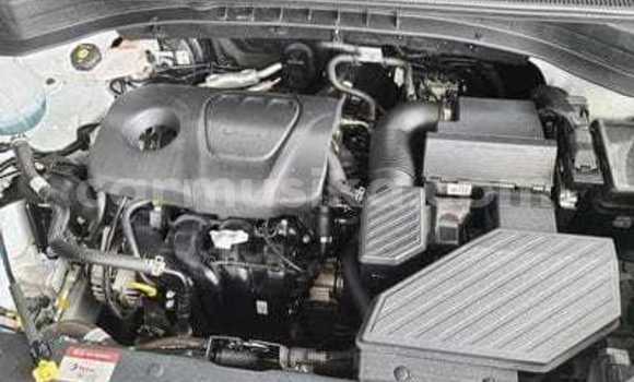 Acheter Occasion Voiture Kia Sportage Blanc à Beitbridge, Matabeleland South Acheter Occasion Voiture Kia Sportage Blanc à Beitbridge, Matabeleland South