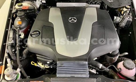 Acheter Import Voiture Mercedes‒Benz G-klasse Blanc à Beitbridge, Matabeleland South Acheter Import Voiture Mercedes‒Benz G-klasse Blanc à Beitbridge, Matabeleland South